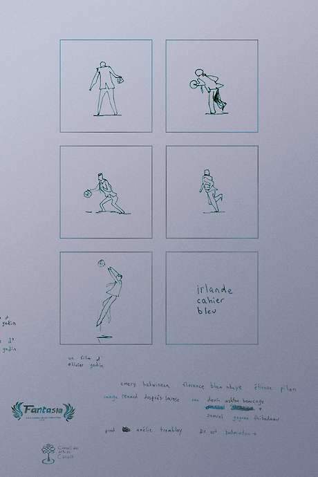 irlande cahier bleu